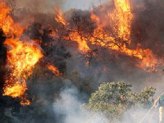 洛杉磯爆發(fā)史上最大山火，宣布進入緊急狀態(tài)